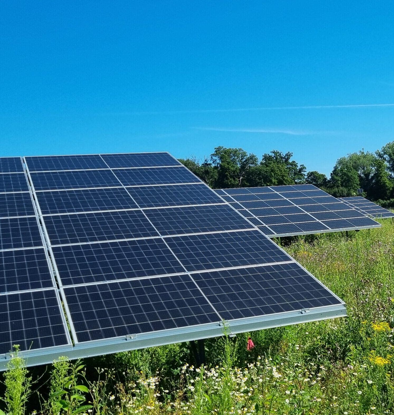 Photovoltaik-Freiflächenanlage Löhne 2