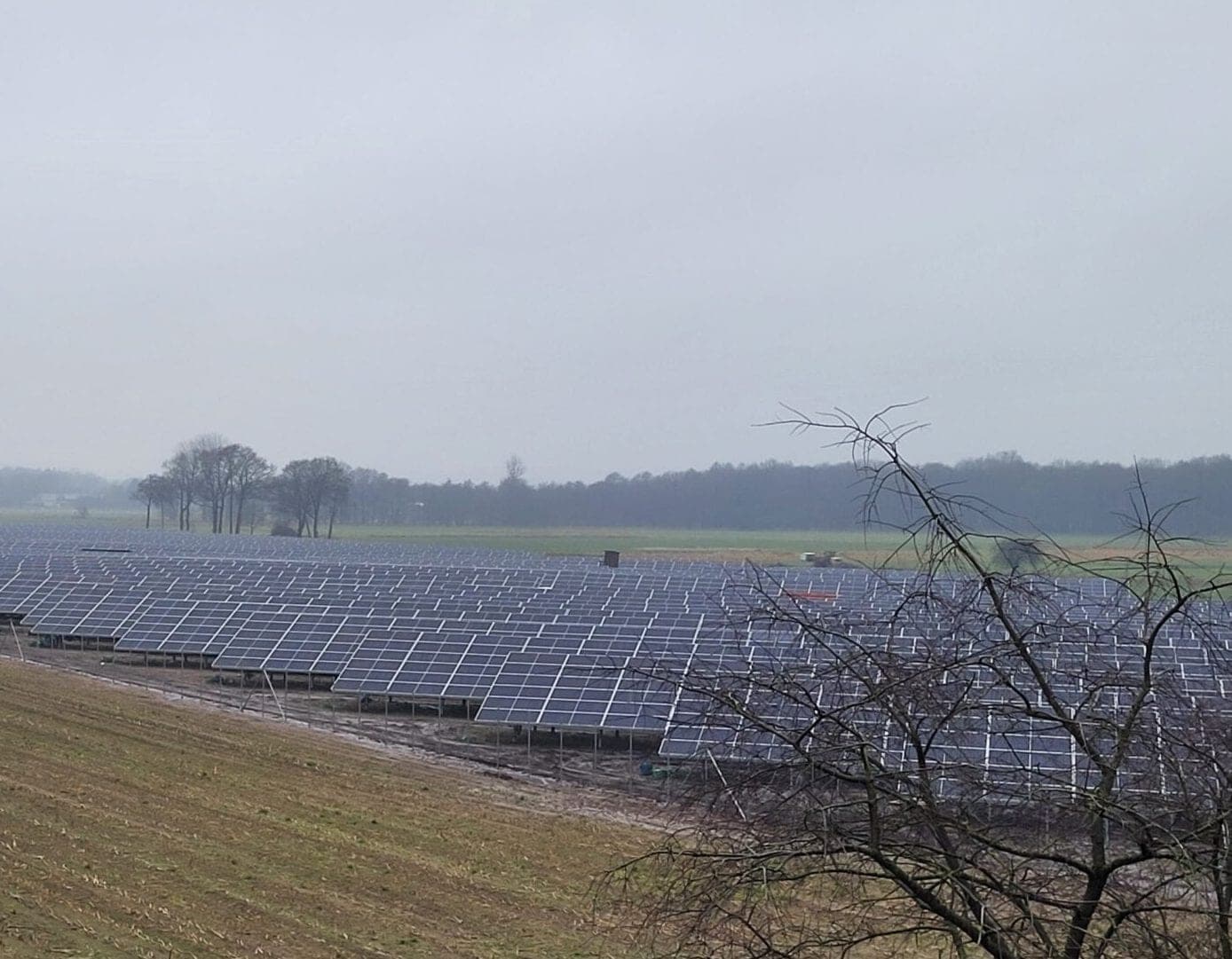 Photovoltaik-Freiflächenanlage Emkendorf-Nord